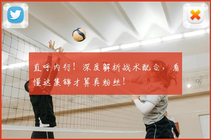 直呼内行!深度解析战术配合,看懂这集锦才算真粉丝!