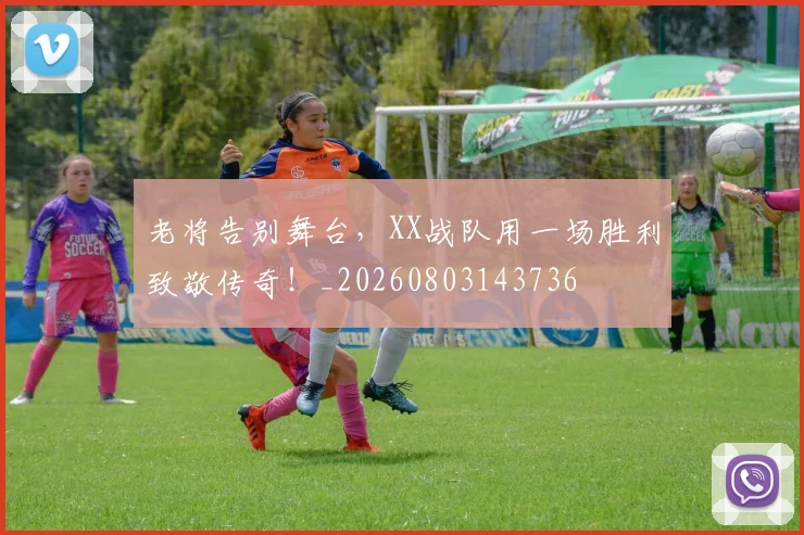老将告别舞台,XX战队用一场胜利致敬传奇!_20260803143736
