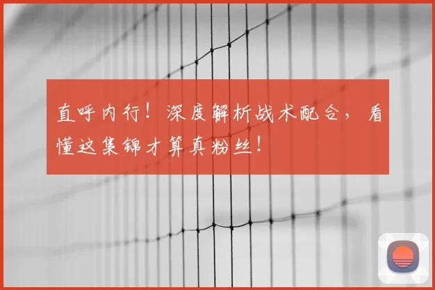 直呼内行！深度解析战术配合，看懂这集锦才算真粉丝！
