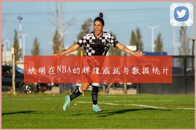 姚明在NBA的辉煌成就与数据统计