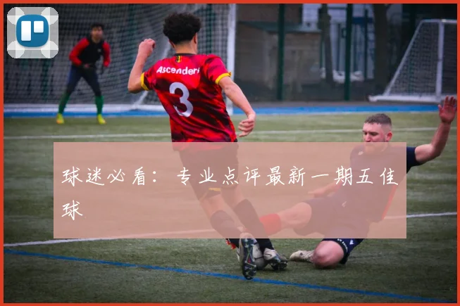 球迷必看：专业点评最新一期五佳球