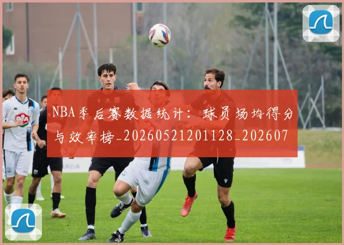 NBA季后赛数据统计:球员场均得分与效率榜_20260521201128_20260702164948_20260715182317
