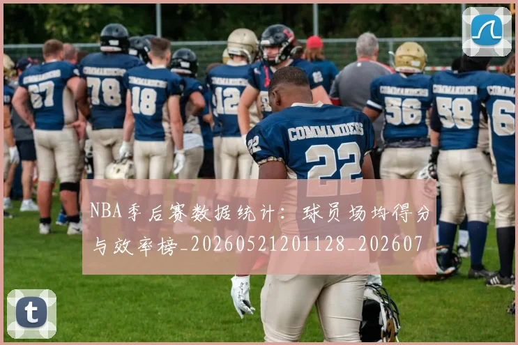 NBA季后赛数据统计:球员场均得分与效率榜_20260521201128_20260702164948