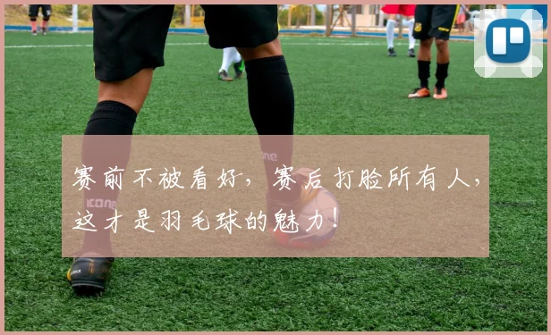 赛前不被看好,赛后打脸所有人,这才是羽毛球的魅力!